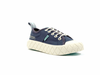 Ace Kids Lo Supply