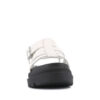 Pallacruise Fischer Pallacruise Fischer