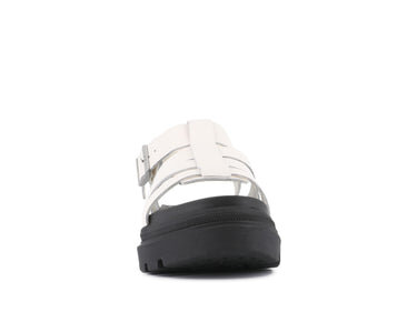 Pallacruise Fischer Pallacruise Fischer